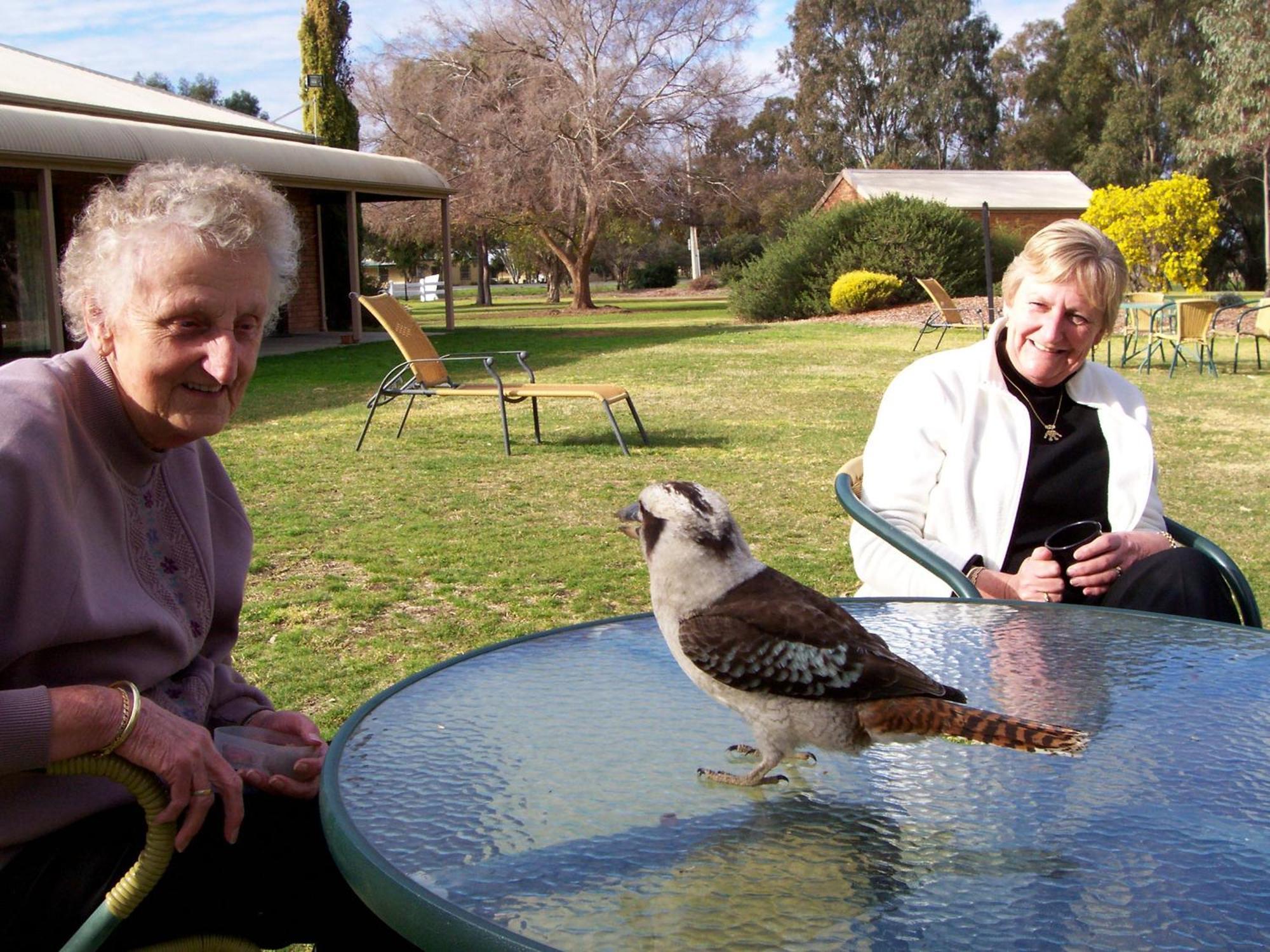 Cadell On The Murray Motel Moama Buitenkant foto